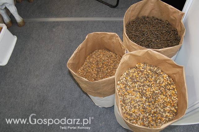 Fotoreportaż  z XI Międzynarodowych Targów Fermy Bydła