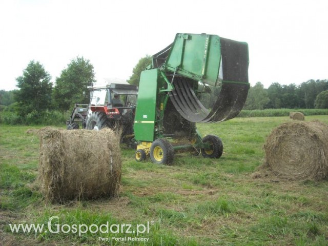 zbieranie siana
