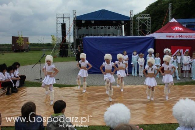Występy artystyczne odbywające się podczas Dni Indyka