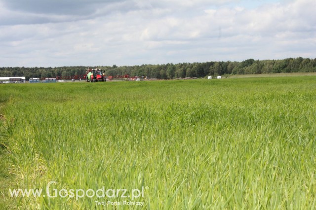 Zielone Agro Show Kąkolewo - Polskie Zboża  - 93