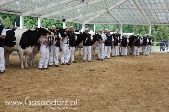 Prezentacja Championów na VII Ogólnopolskiej Wystawie Bydła Hodowlanego w Sielinku 2012 - 30