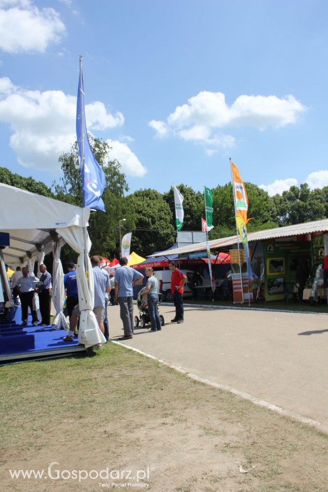 Szepietowo 2012 XIX Regionalna Wystawa Zwierząt Hodowlanych, I Ogólnopolska Wystawa Drobiu oraz Dni z Doradztwem Rolniczym - 80