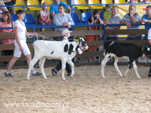 Młody Hodowca - Szepietowo 2012 - 80