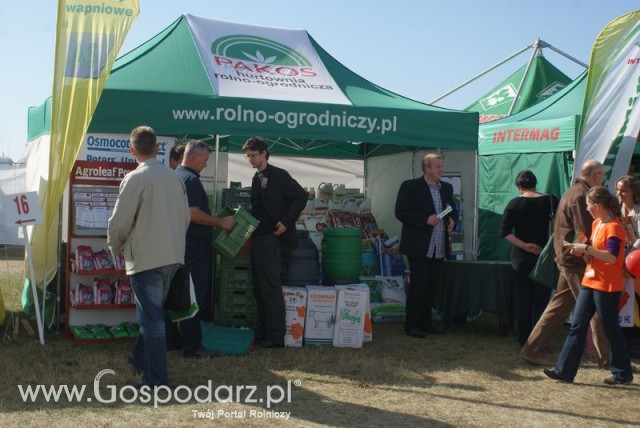 Zdj. - 469 - PAKOS PIOTR NIEMIEC