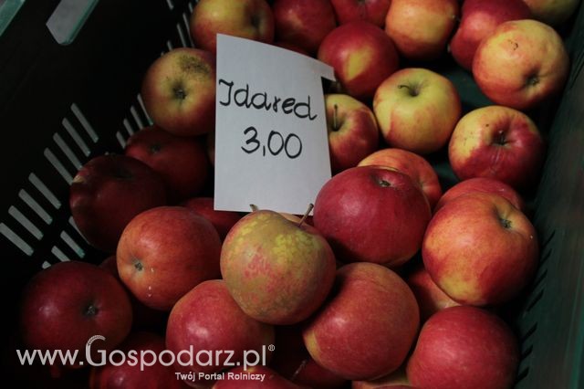 Fotoreportaż z XI Międzynarodowych Targów Fermy Bydła