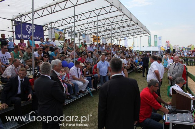Opolagra 2012 - 9