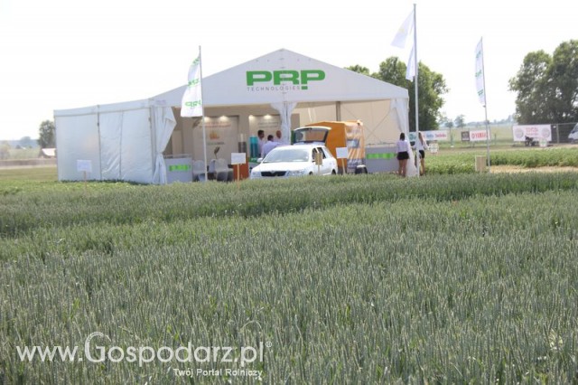 Polskie Zboża 2011 - Sobota