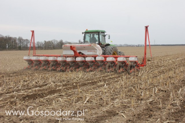 Kultywator STRIGER do uprawy pasowej - 29