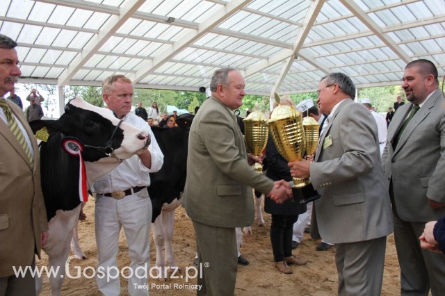 VII Ogólnopolska Wystawa Bydła Hodowlanego - 29