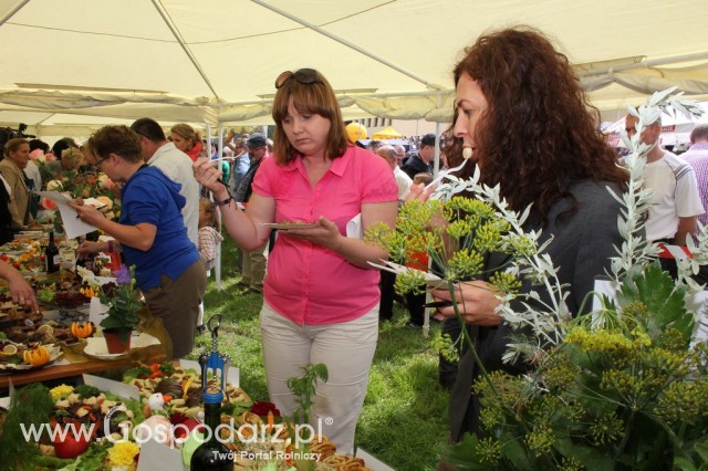 IX Święto Gęsi w Biskupcu - 98