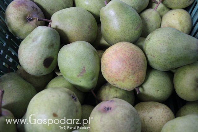 Fotoreportaż z XI Międzynarodowych Targów Fermy Bydła