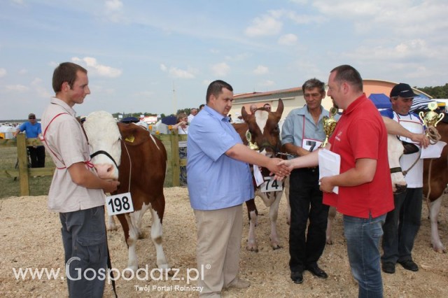 Nagordy dla superchampionów i championów  - 60