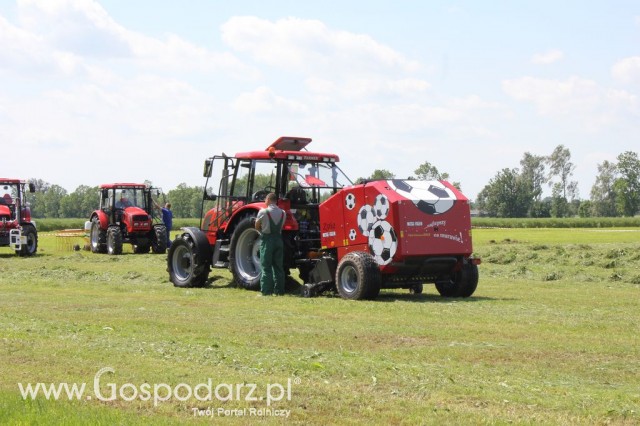 Szepietowo 2012 XIX Regionalna Wystawa Zwierząt Hodowlanych, I Ogólnopolska Wystawa Drobiu oraz Dni z Doradztwem Rolniczym - 53