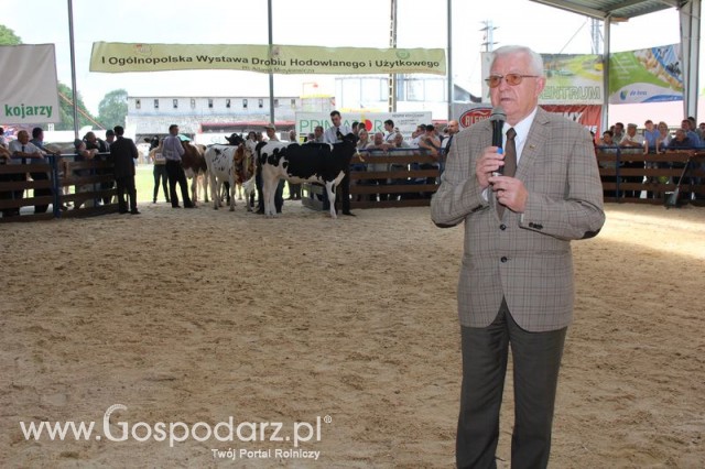 Bydło - Szepietowo 2012 XIX Regionalna Wystawa Zwierząt Hodowlanych - 118