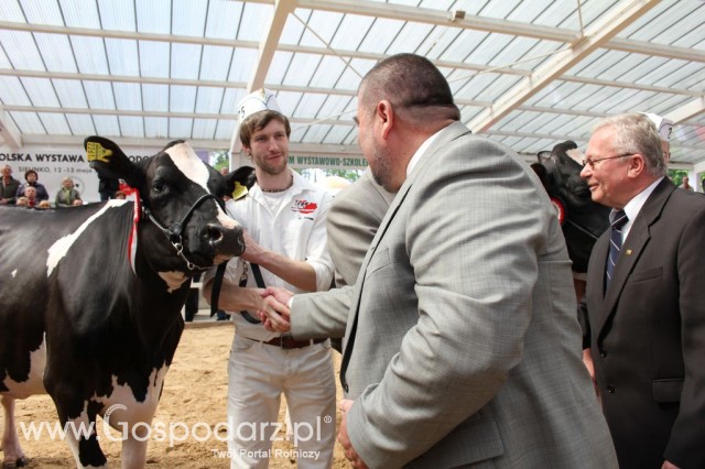 VII Ogólnopolska Wystawa Bydła Hodowlanego - 54