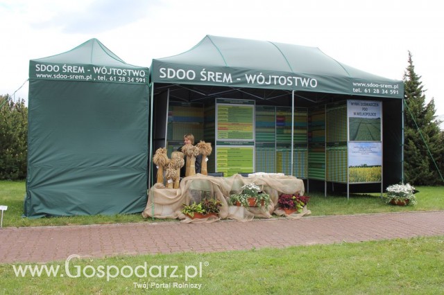 VII Ogólnopolska Wystawa Bydła Hodowlanego - 95