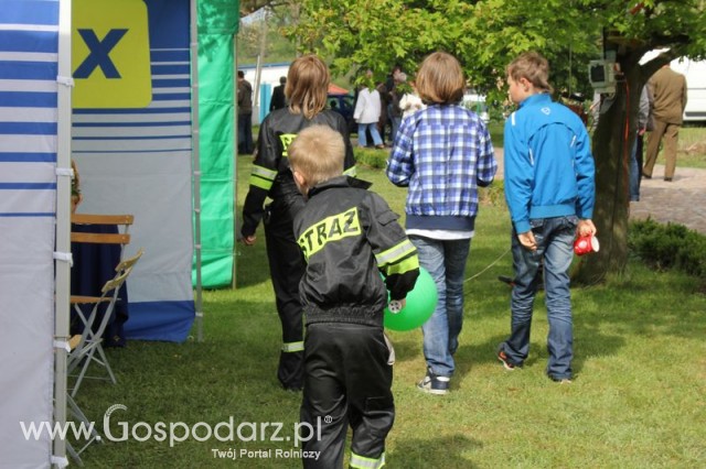 Pierwsze dni indyka w Koźminku