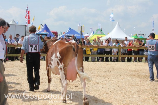 Nagordy dla superchampionów i championów  - 79