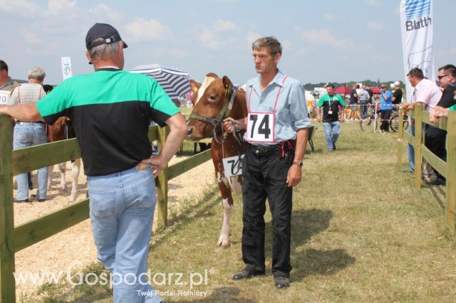 Nagordy dla superchampionów i championów  - 81