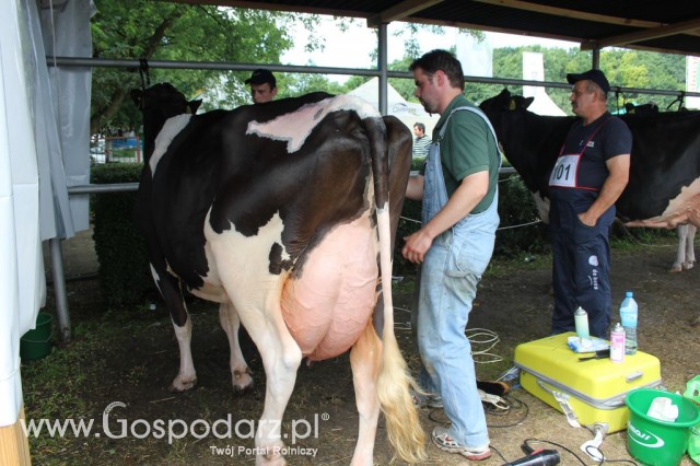 Relacja Foto Agro-Tech Minikowo 2012 - 64