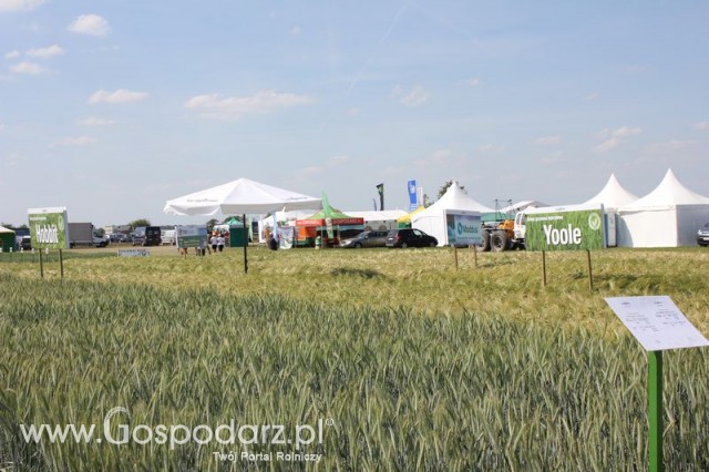 Polskie Zboża 2011 - Sobota