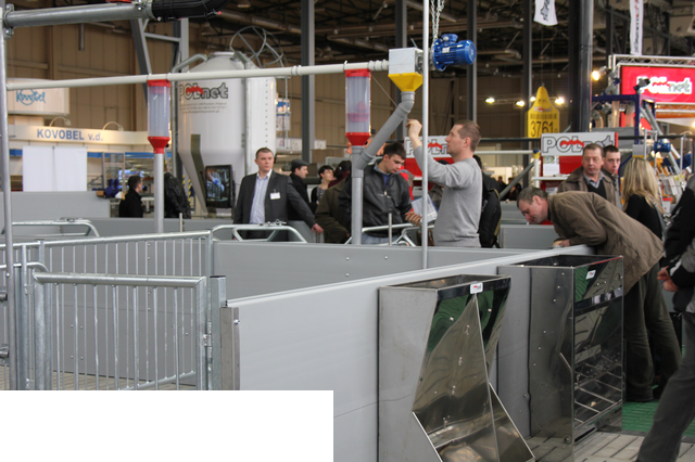 Foto reportaż z Międzynarodowych Targów Hodowli Zwierząt FARMA