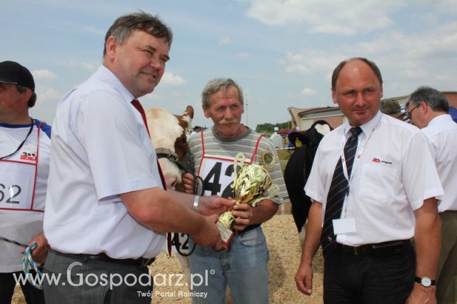 Nagordy dla superchampionów i championów  - 28