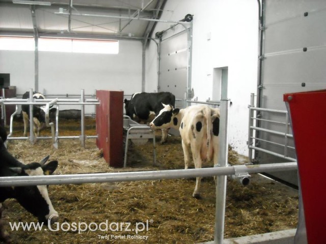 Czarbule i ich Nowa Obora