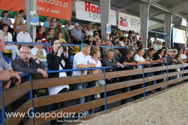 Nagrody - Szepietowo 2012 XIX Regionalna Wystawa Zwierząt Hodowlanych - 43