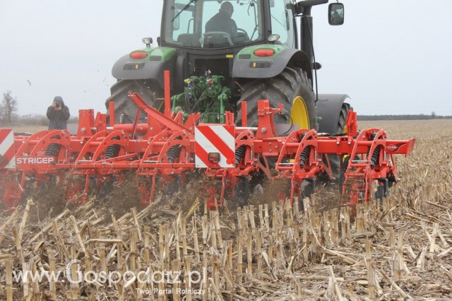 Kultywator STRIGER do uprawy pasowej - 11