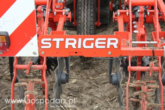 Kultywator STRIGER do uprawy pasowej - 3