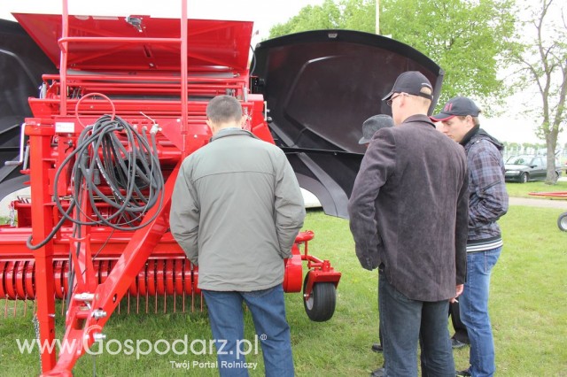 VII Ogólnopolska Wystawa Bydła Hodowlanego - 146