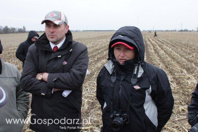 Kultywator STRIGER do uprawy pasowej - 31