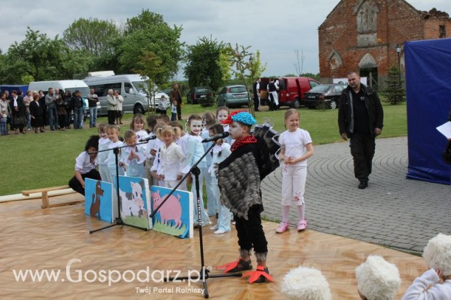 Występy artystyczne odbywające się podczas Dni Indyka