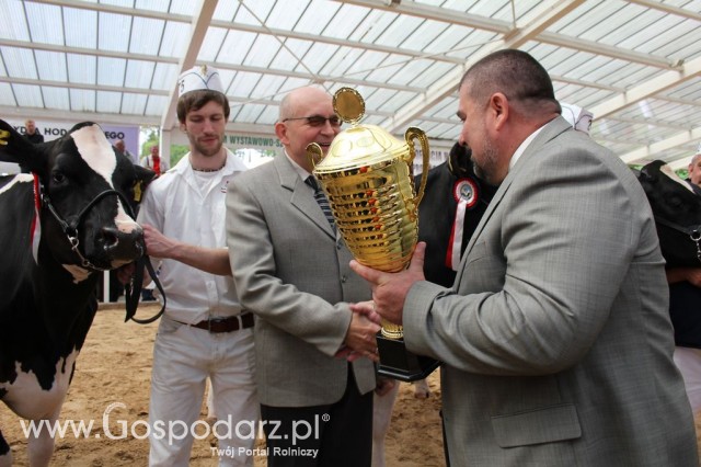 VII Ogólnopolska Wystawa Bydła Hodowlanego - 53