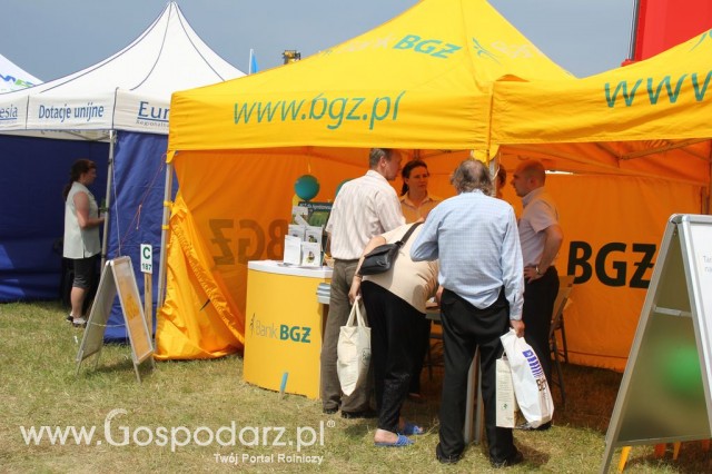 Opolagra 2012 - 30