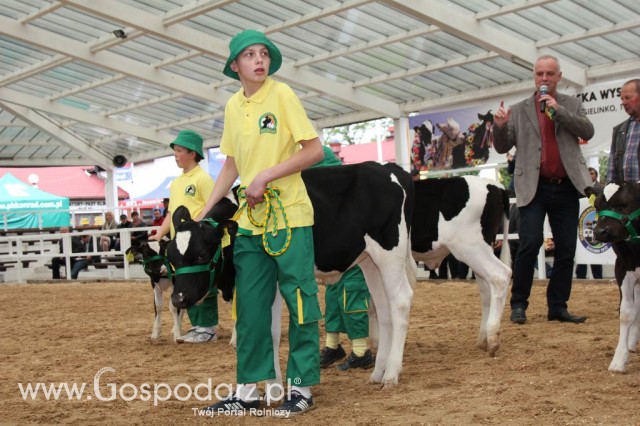 Mali hodowcy Sielinko 2012 - 38