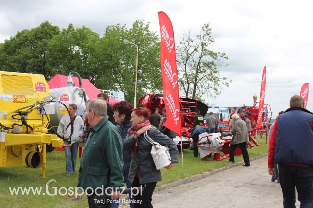 VII Ogólnopolska Wystawa Bydła Hodowlanego - 84