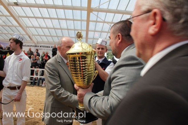 VII Ogólnopolska Wystawa Bydła Hodowlanego - 51