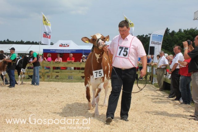 Nagordy dla superchampionów i championów  - 33