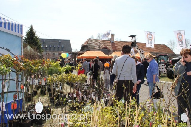 Fotoreportaż z XX Agro-Targów 2011 w Starej Łubiance
