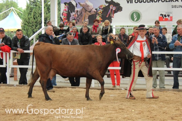 Prezentacja Championów na VII Ogólnopolskiej Wystawie Bydła Hodowlanego w Sielinku 2012 - 21