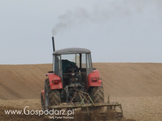 Wiosenne Przesiewki 2012 Z C-360 