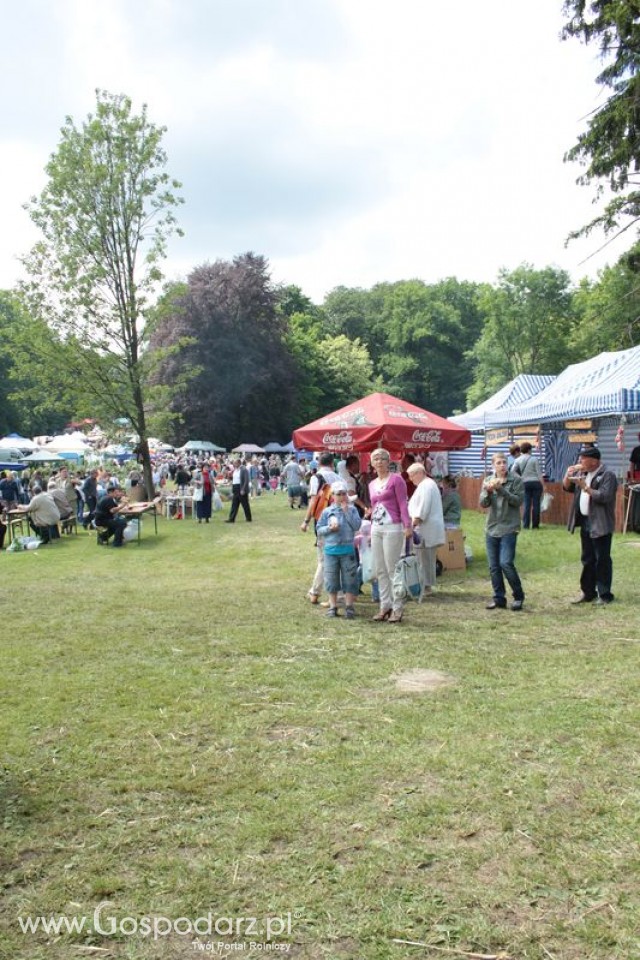 XX Targi Rolnicze Lubniewice 