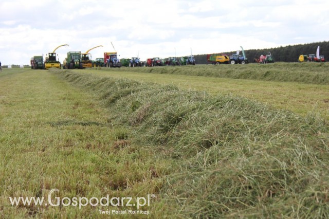 Pokazy Maszyn Polskie Zboża Zielone Agroshow 2012  - 26