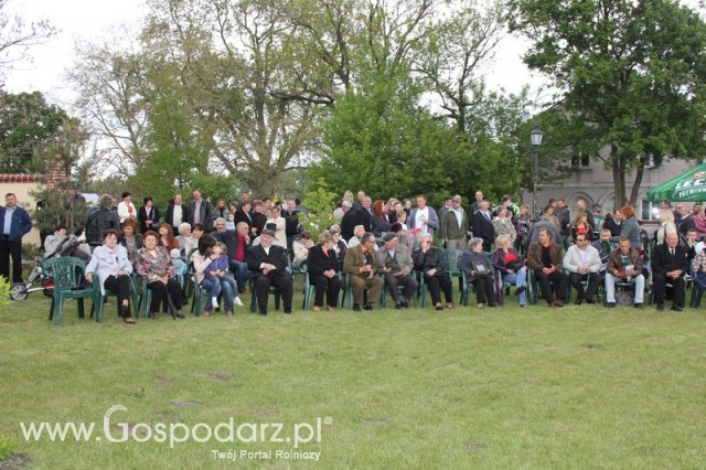 Pierwsze dni indyka w Koźminku