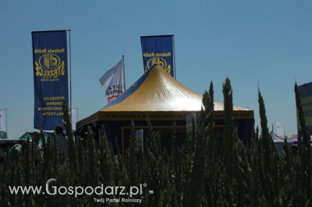 Polskie Zboża 2011