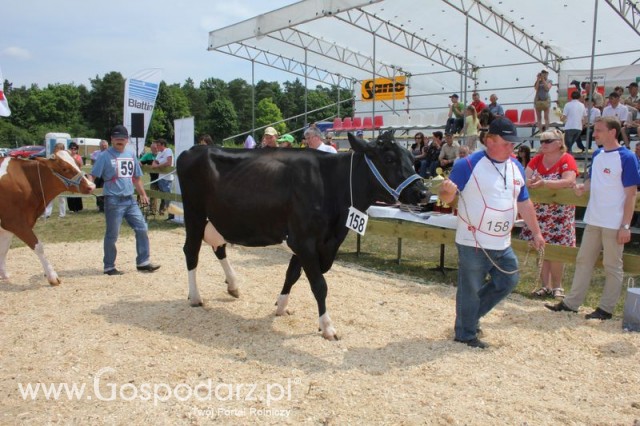 Nagordy dla superchampionów i championów  - 53