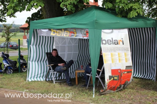 Pierwsze dni indyka w Koźminku