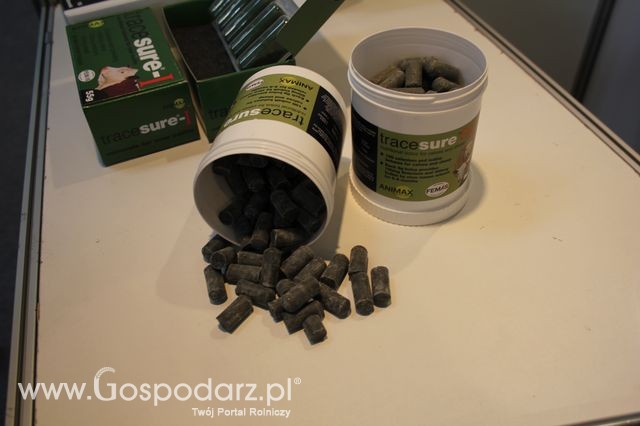 Fotoreportaż  z XI Międzynarodowych Targów Fermy Bydła